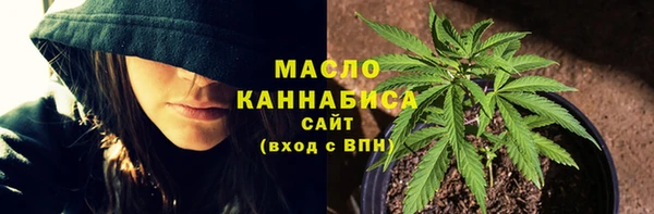 молекула духа Новодвинск