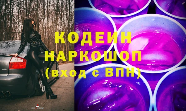 гашик Новозыбков
