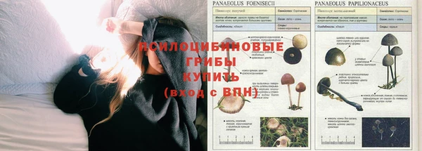 spice Новокубанск