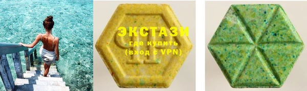 гашик Новозыбков