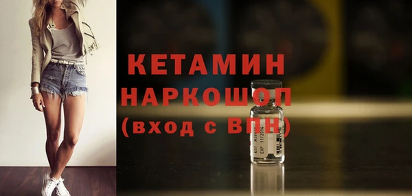 гашик Новозыбков