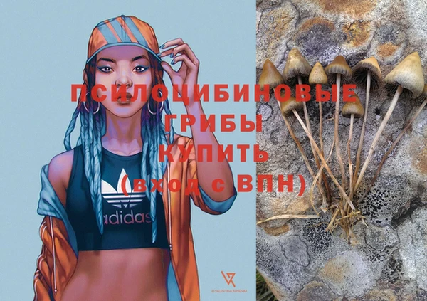 гашик Новозыбков