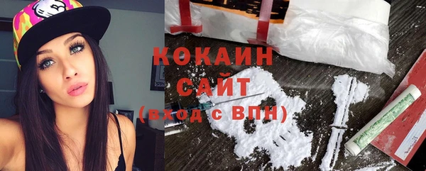 молекула духа Новодвинск