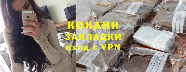 гашик Новозыбков