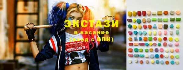 гашик Новозыбков