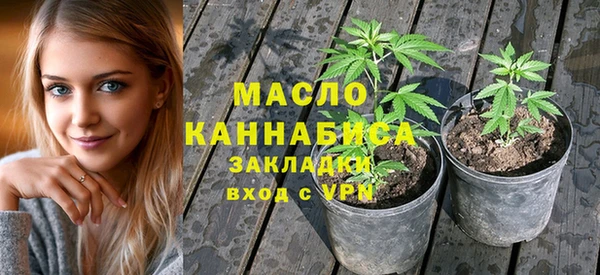 гашик Новозыбков