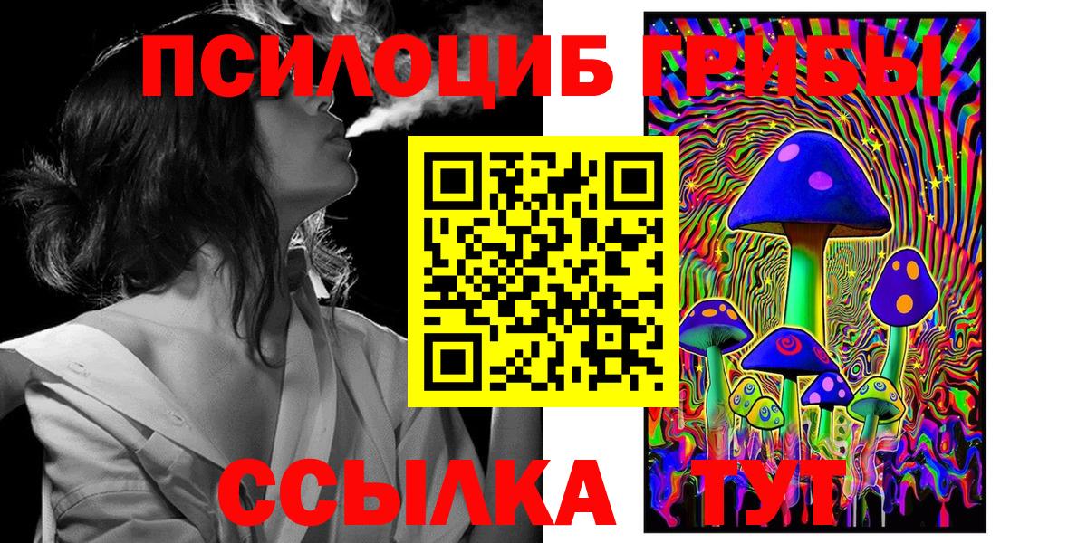 Псилоцибиновые грибы мицелий  Знаменск 