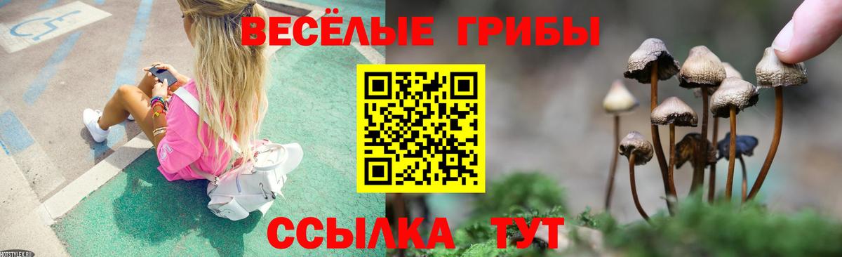 Знаменск  КОКАИН  Cocaine  МДМА  АМФ   Где купить наркотики?  Гашиш  Меф   ГАШ 