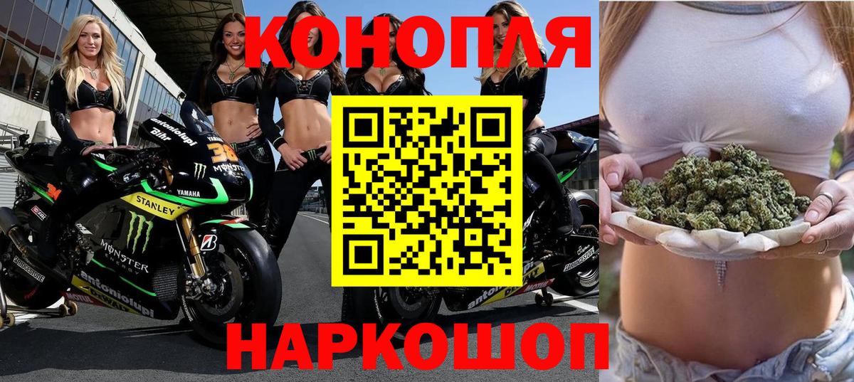 Шишки марихуана сатива Знаменск